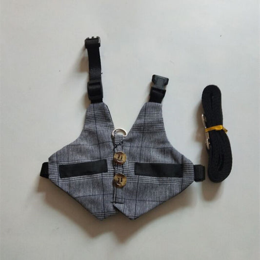 Rabbit Leash and Dress Combo for Pets