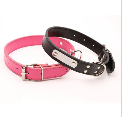 Stylish Pet Collar