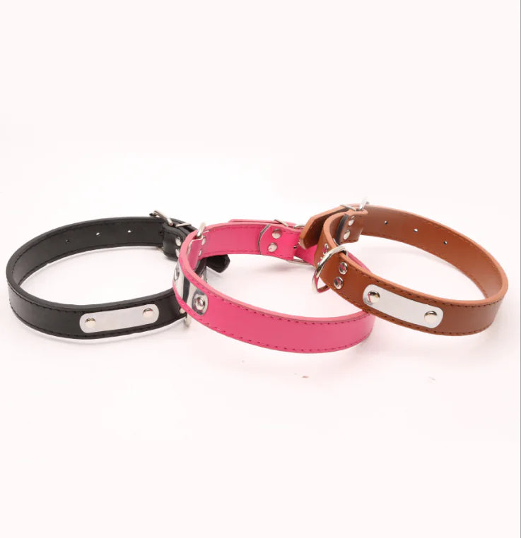 Stylish Pet Collar