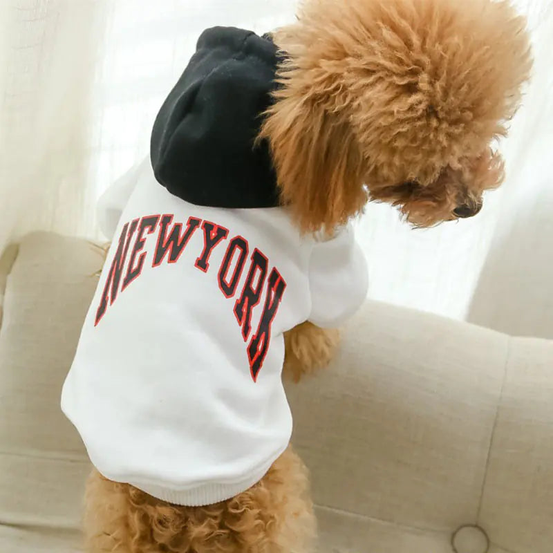 Casual Hooded Sweatshirt for Pets in Terry Cotton