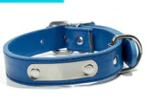 Stylish Pet Collar
