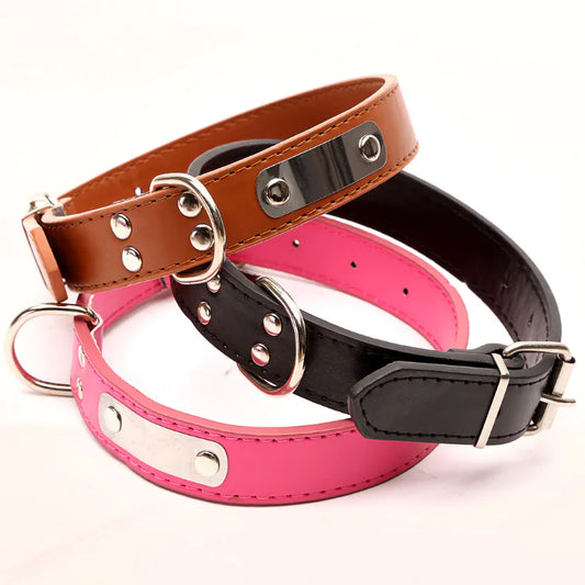 Stylish Pet Collar